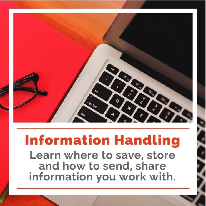 Information Handling